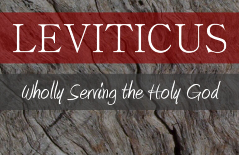 An Education in Purity (Leviticus 11-15)