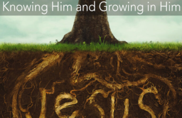 Serving the Lord in Every Whatever (Colossians 3:17 – 4:18)